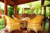 Coconut Paradise 